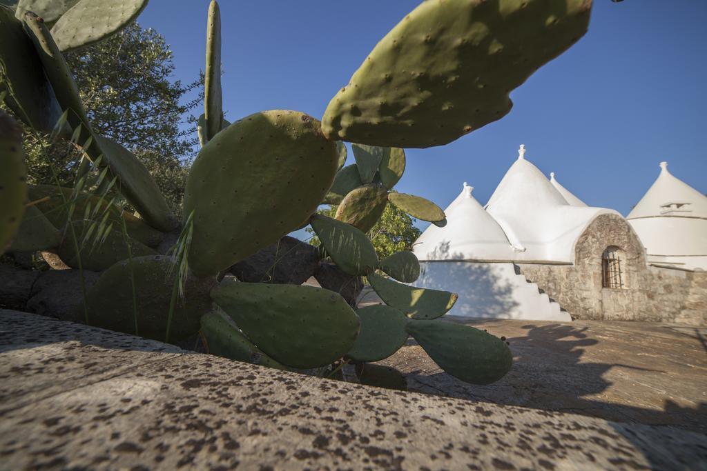 Villa Trullo Degli Ulivi Ostuni Exterior foto